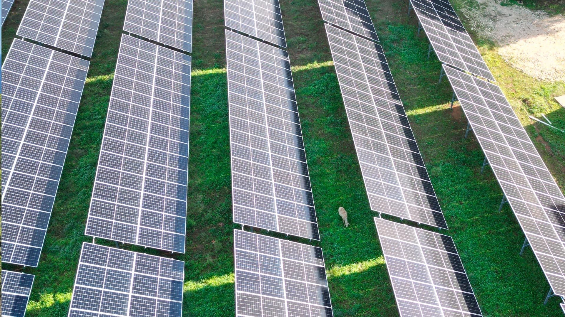 Paneles solares del parque fotovoltaico Protur Natura en Sa Coma, Mallorca