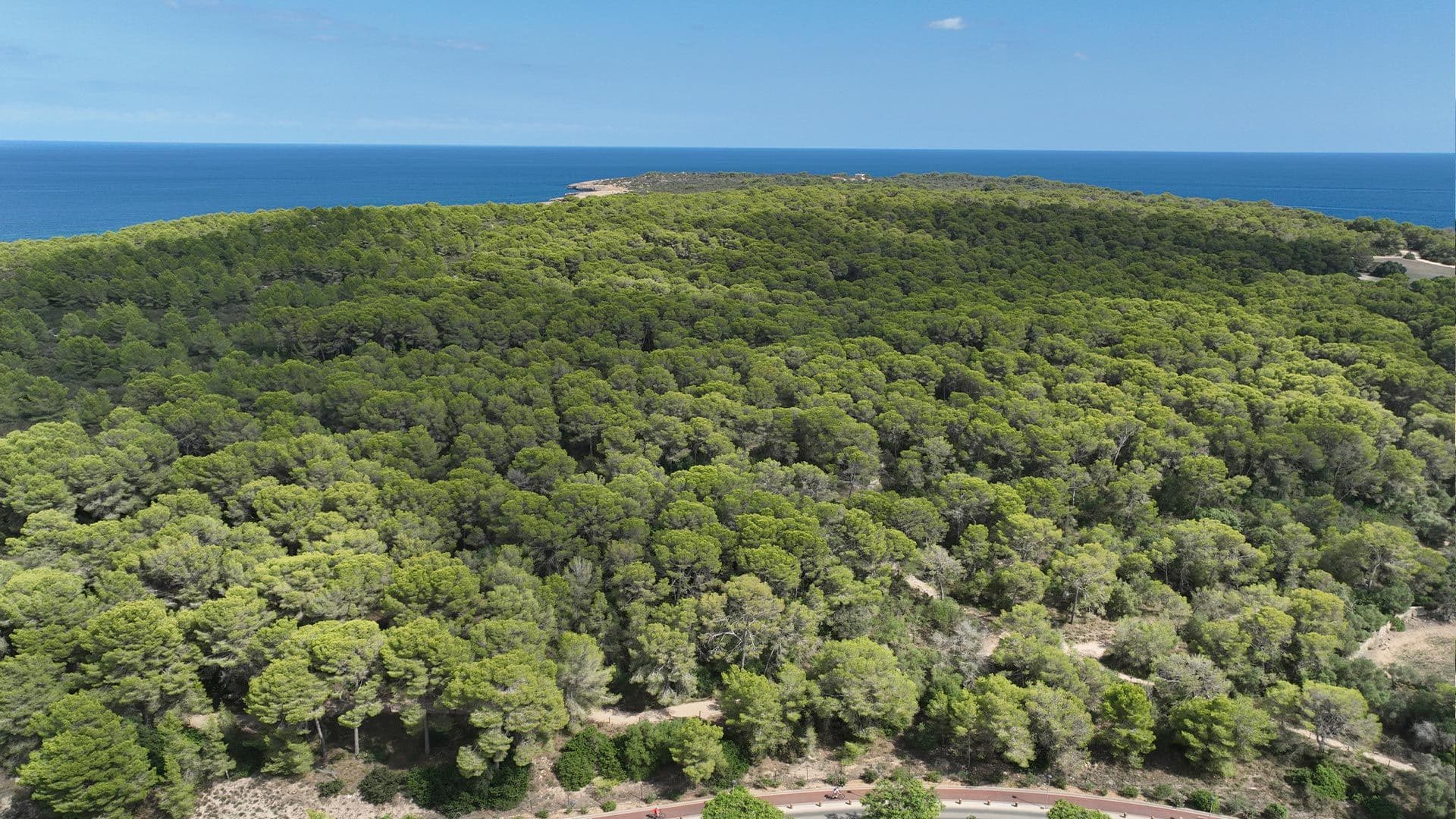 Naturaleza y entorno del Protur Biomar Sensatori Resort